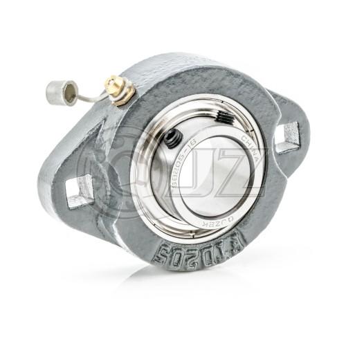 SBFTD204 - Cast Iron - 20 mm 2-Bolt Flange Unit SB204G + FTD204